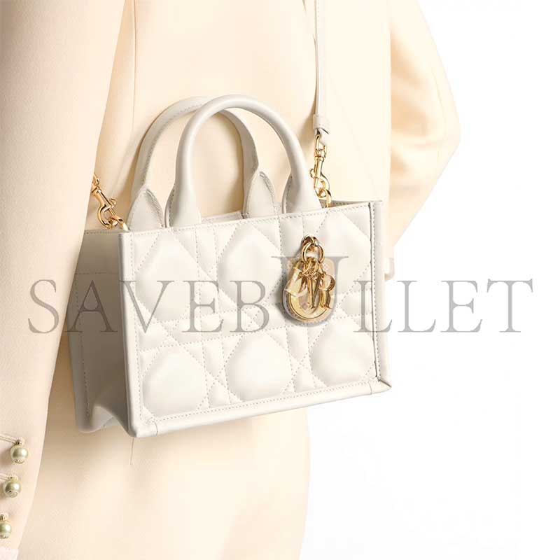 D*or mini D*or book tote s5573owhp_m030 (21.5*13*7.5cm)